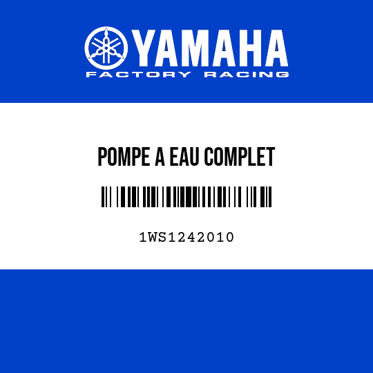 POMPE A EAU COMPLET