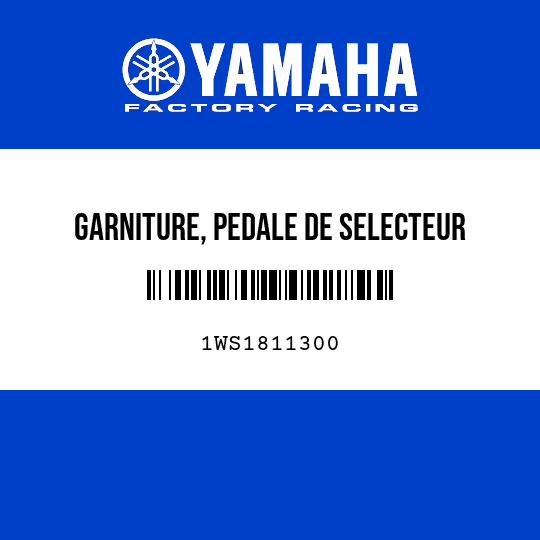 GARNITURE, PEDALE DE SELECTEUR