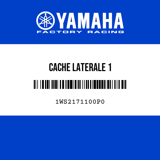 CACHE LATERALE 1