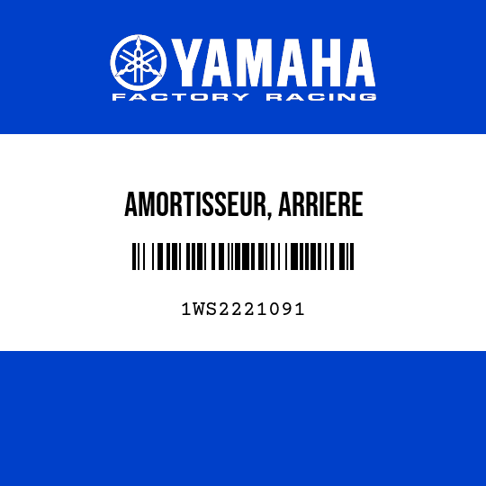 AMORTISSEUR, ARRIERE