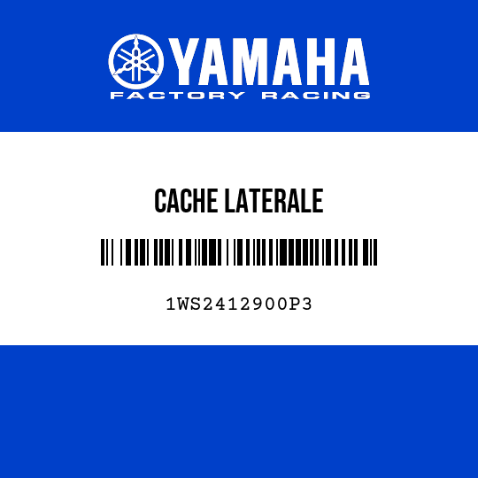 CACHE LATERALE