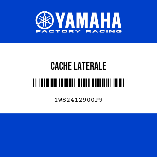 CACHE LATERALE