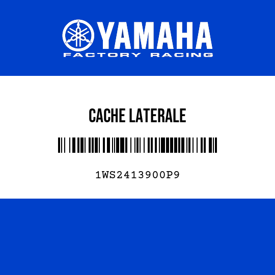 CACHE LATERALE