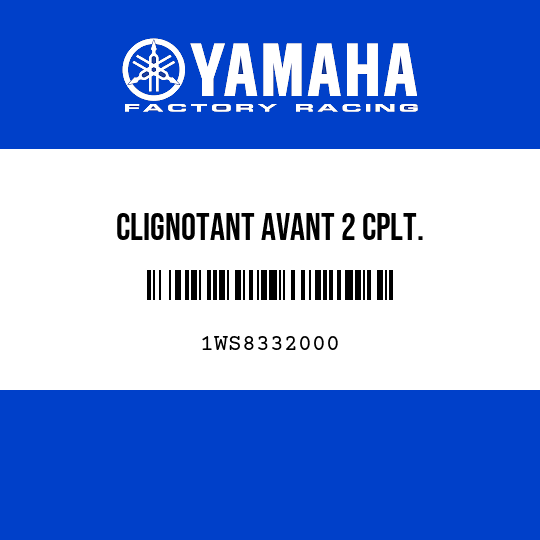 CLIGNOTANT AVANT 2 CPLT.