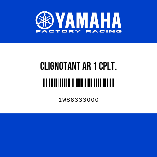 CLIGNOTANT AR 1 CPLT.