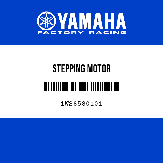STEPPING MOTOR