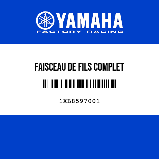 FAISCEAU DE FILS COMPLET
