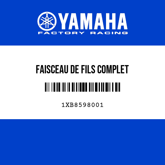 FAISCEAU DE FILS COMPLET