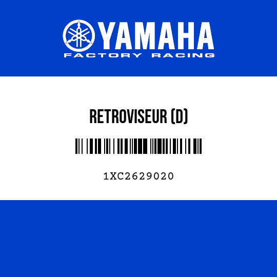 RETROVISEUR (D)