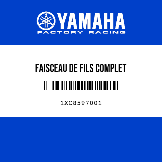FAISCEAU DE FILS COMPLET