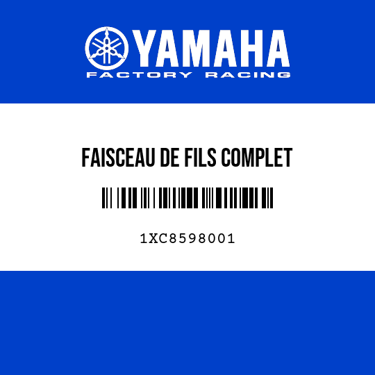 FAISCEAU DE FILS COMPLET