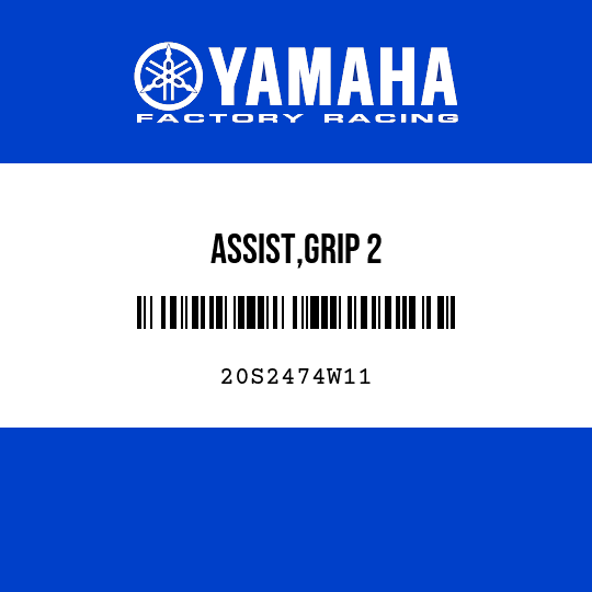 ASSIST,GRIP 2