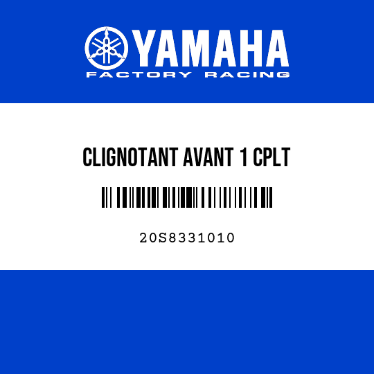 CLIGNOTANT AVANT 1 CPLT
