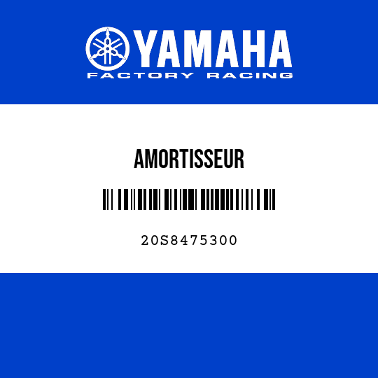 AMORTISSEUR