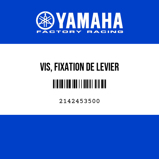 VIS, FIXATION DE LEVIER
