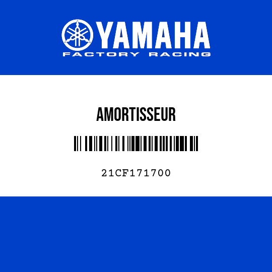 AMORTISSEUR