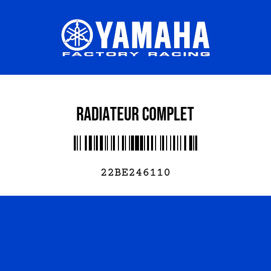 RADIATEUR COMPLET