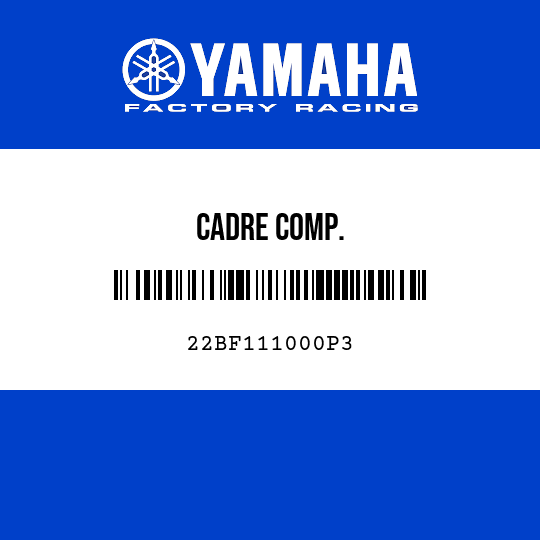 CADRE COMP.