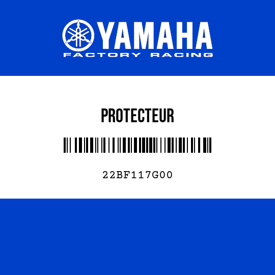 PROTECTEUR