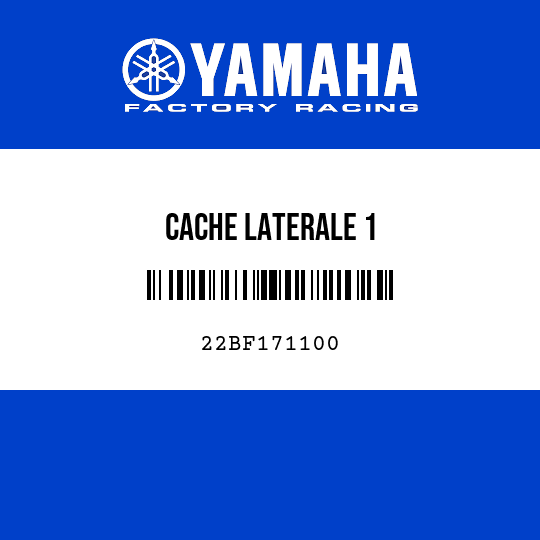 CACHE LATERALE 1