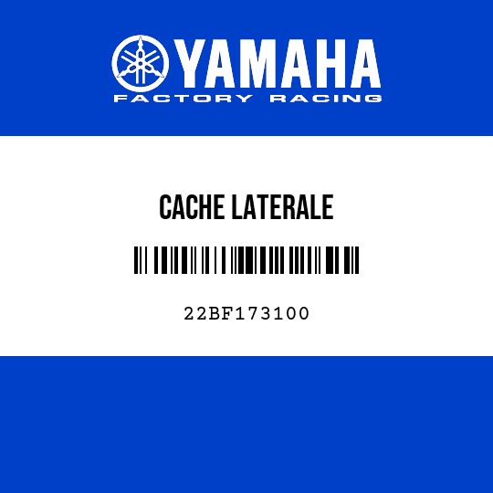 CACHE LATERALE