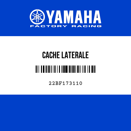CACHE LATERALE