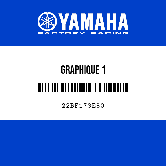 GRAPHIQUE 1