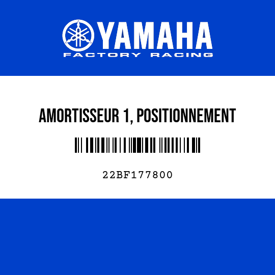 AMORTISSEUR 1, POSITIONNEMENT