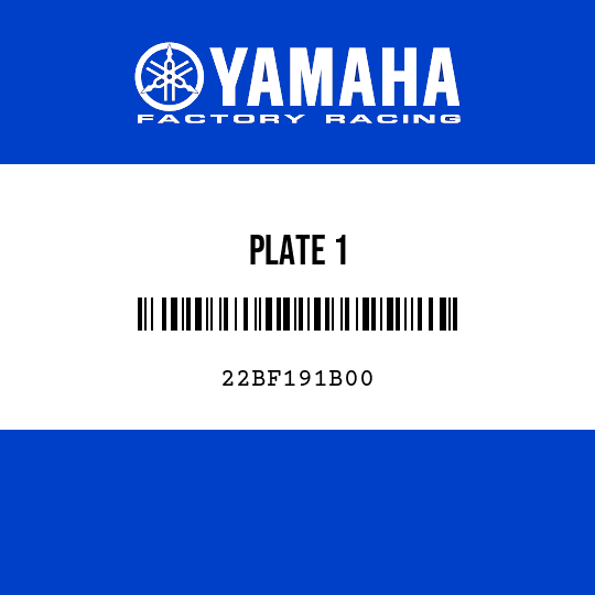 PLATE 1