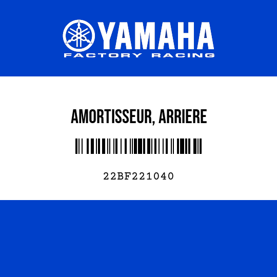 AMORTISSEUR, ARRIERE
