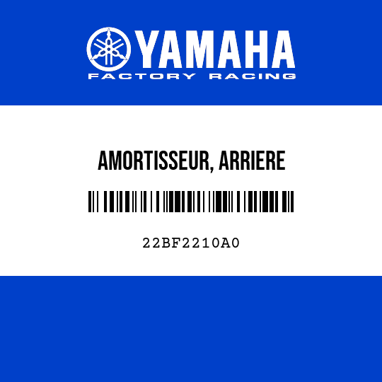 AMORTISSEUR, ARRIERE