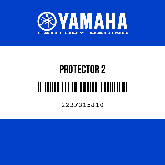 PROTECTOR 2