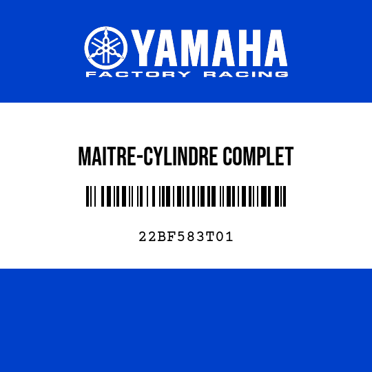 MAITRE-CYLINDRE COMPLET