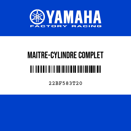 MAITRE-CYLINDRE COMPLET