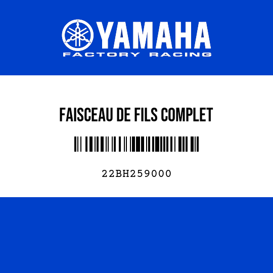 FAISCEAU DE FILS COMPLET