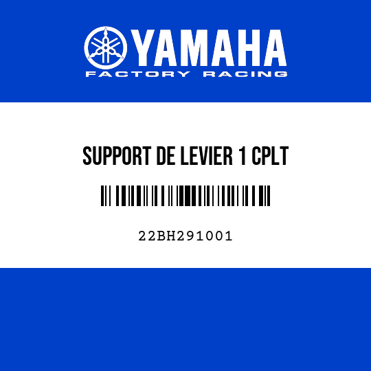 SUPPORT DE LEVIER 1 CPLT