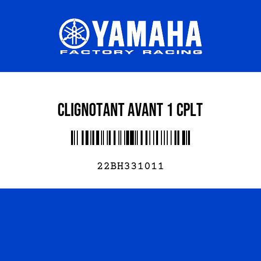CLIGNOTANT AVANT 1 CPLT