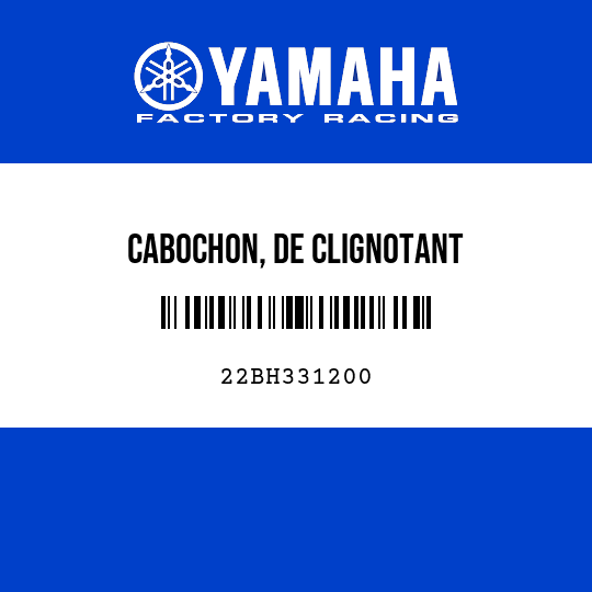CABOCHON, DE CLIGNOTANT