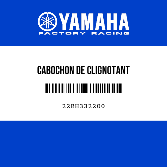 CABOCHON DE CLIGNOTANT