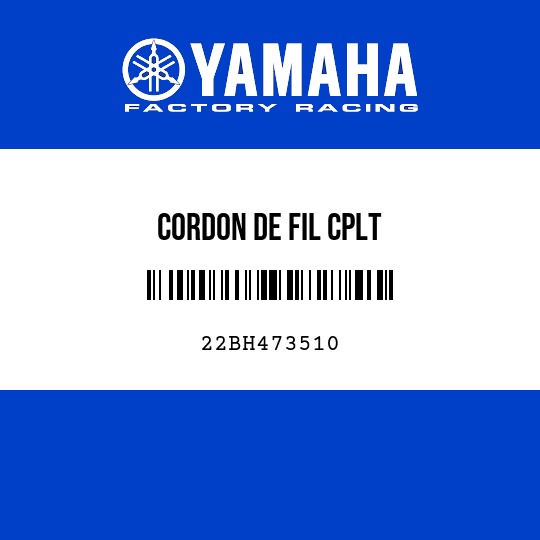 CORDON DE FIL CPLT