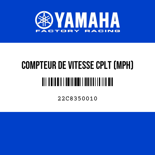COMPTEUR DE VITESSE CPLT (MPH)