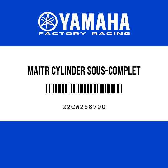 MAITR CYLINDER SOUS-COMPLET