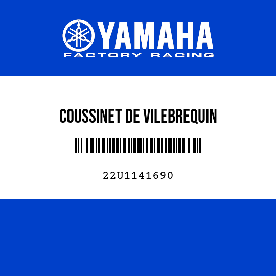 COUSSINET DE VILEBREQUIN