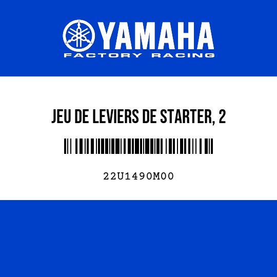 JEU DE LEVIERS DE STARTER, 2