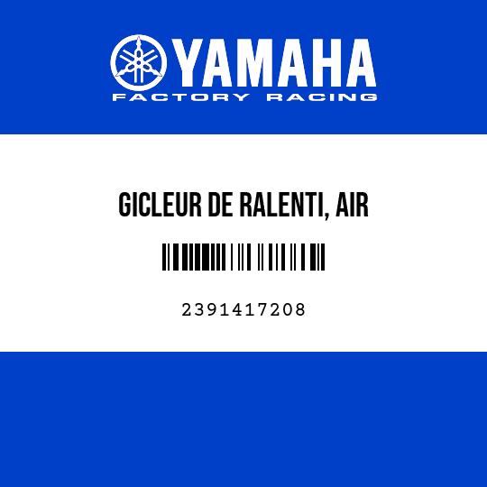 GICLEUR DE RALENTI, AIR