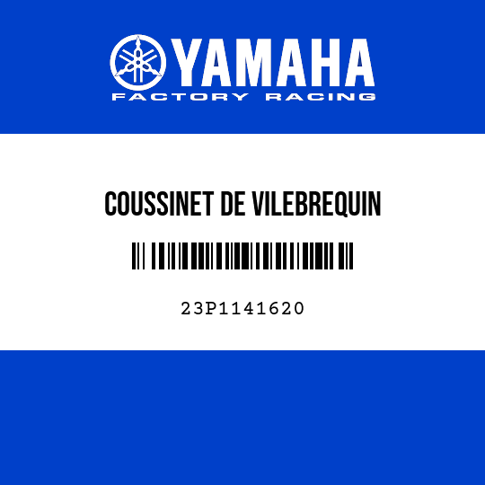 COUSSINET DE VILEBREQUIN
