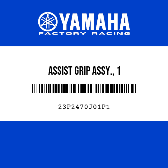 ASSIST GRIP ASSY., 1