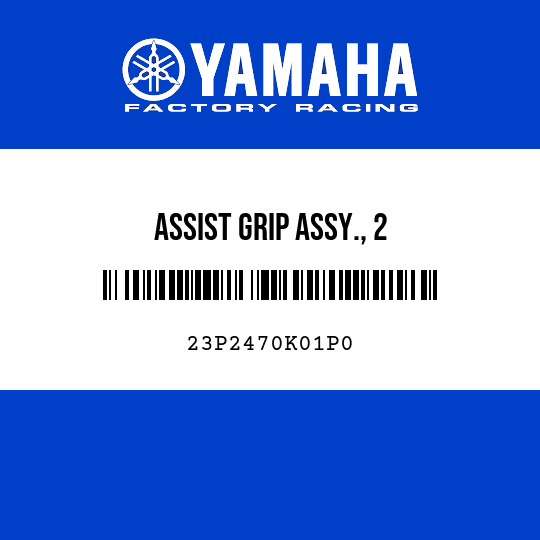 ASSIST GRIP ASSY., 2