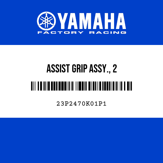 ASSIST GRIP ASSY., 2