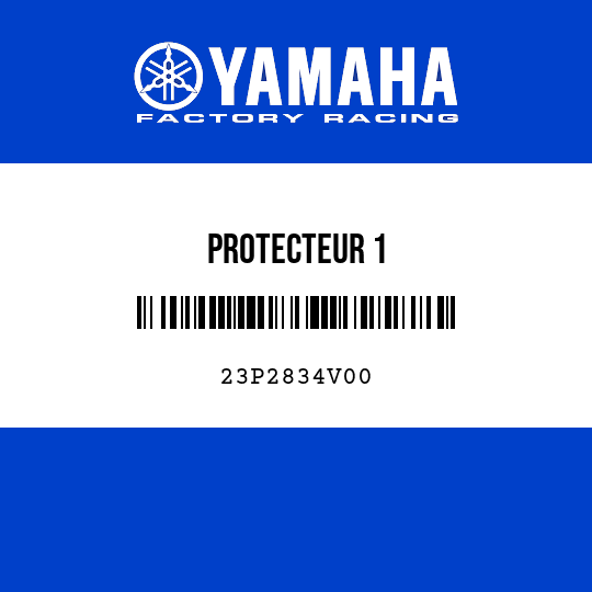 PROTECTEUR 1